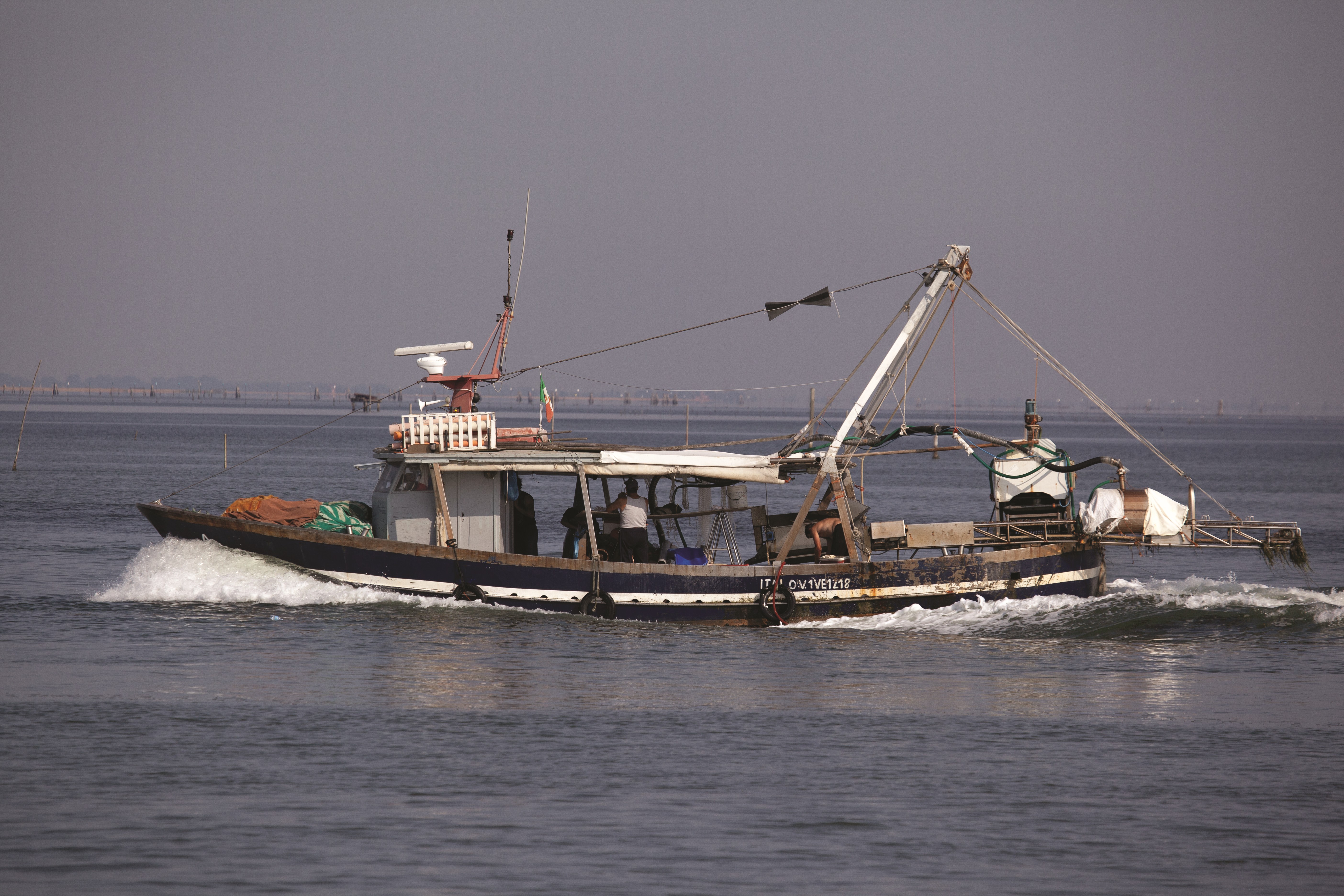 Presentazione Bandi FEAMPA
